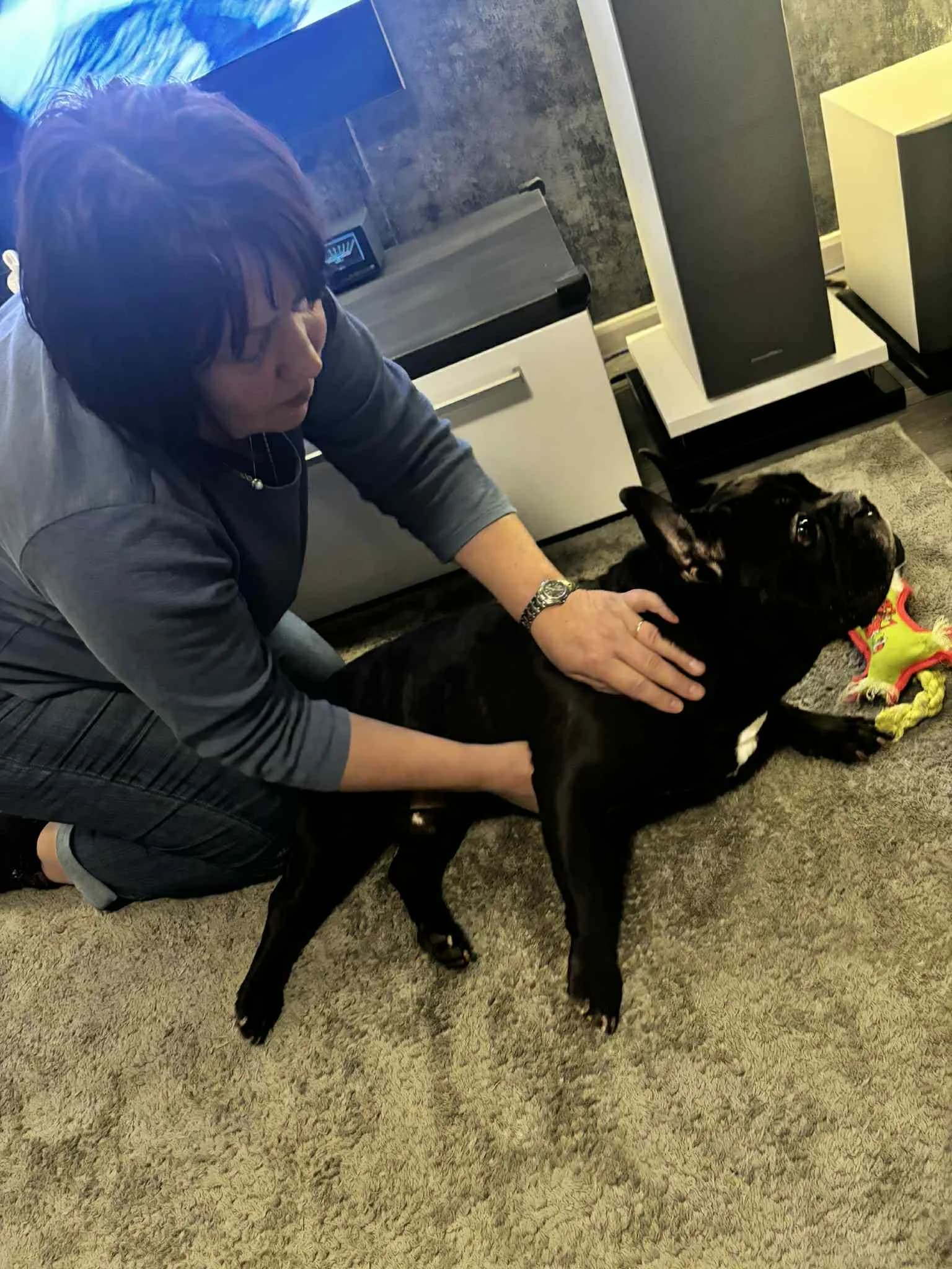 Boldog kutya masszázs közben