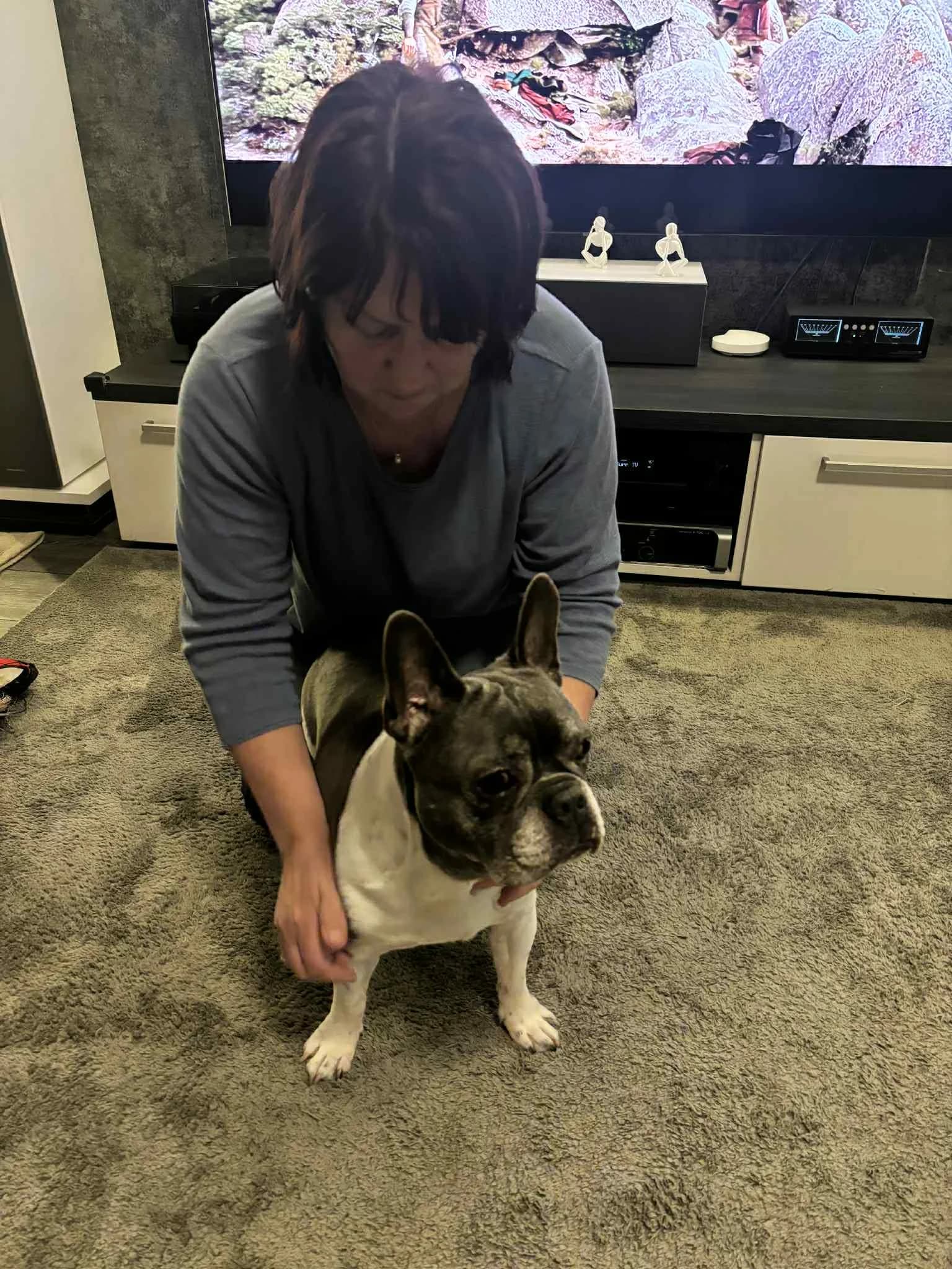 Kutyamasszázs otthoni környezetben